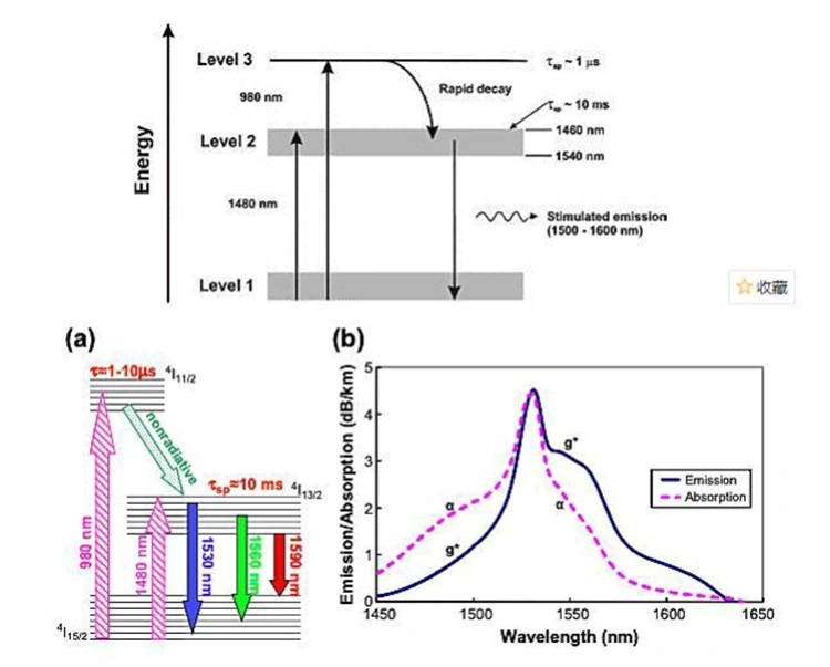 Erbium-adalékolt szálas erősítő (EDFA) az optikai erősítéshez